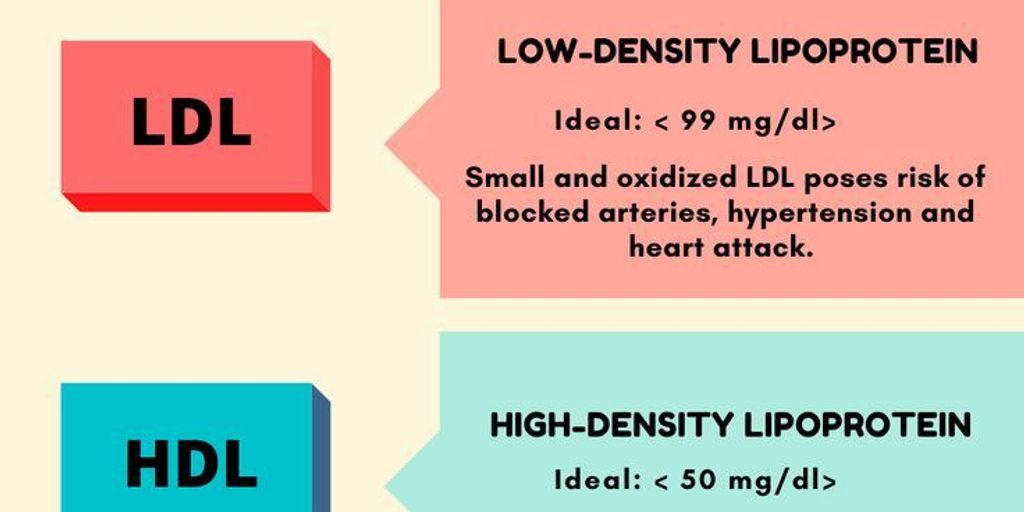 healthy foods for cholesterol